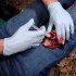 Аппликатор гемостатический с гранулами Rhino Rescue в Краснодаре хитозановый