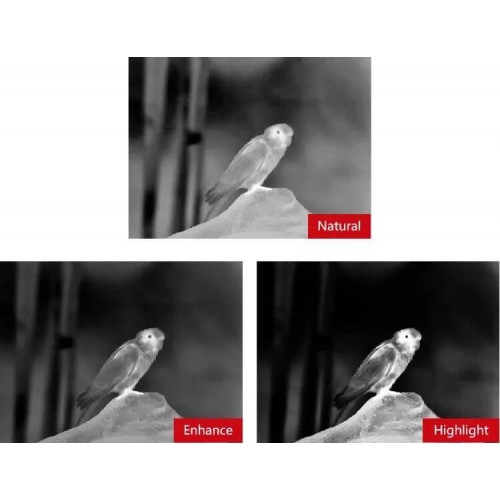 Тепловизионный бинокуляр Guide TN430 400х300, ø35мм, лазерный дальномер в Краснодаре