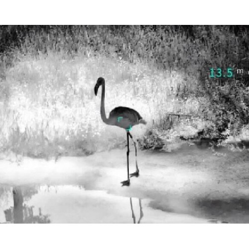 Тепловизионный бинокуляр Guide TN430 400х300, ø35мм, лазерный дальномер в Краснодаре