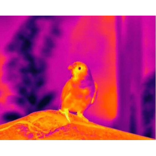 Тепловизионный бинокуляр Guide TN430 400х300, ø35мм, лазерный дальномер в Краснодаре